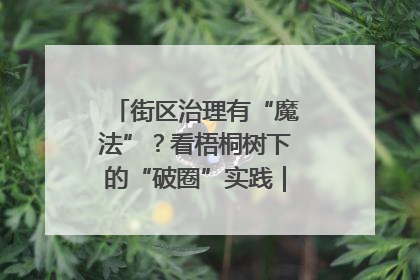 街区治理有“魔法”？看梧桐树下的“破圈”实践｜我在街区当书记