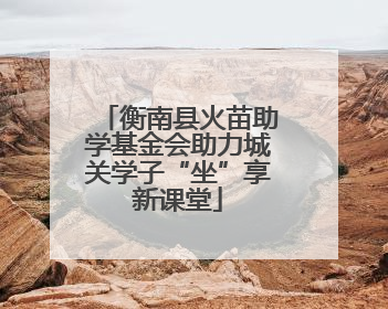 衡南县火苗助学基金会助力城关学子“坐”享新课堂