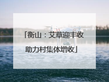 衡山：艾草迎丰收 助力村集体增收