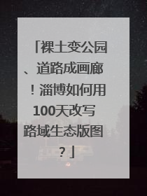 裸土变公园、道路成画廊！淄博如何用100天改写路域生态版图？