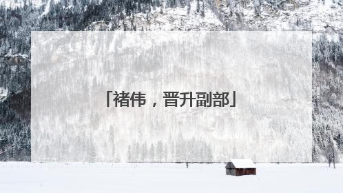 褚伟，晋升副部