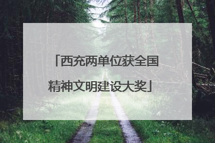 西充两单位获全国精神文明建设大奖