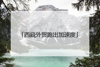 西藏外贸跑出加速度