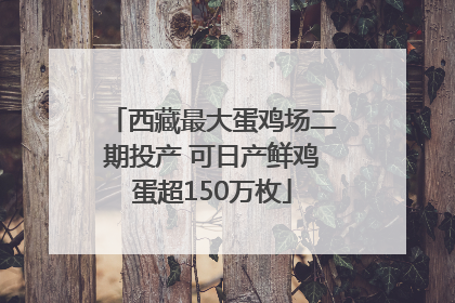 西藏最大蛋鸡场二期投产 可日产鲜鸡蛋超150万枚