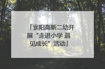 襄阳高新二幼开展“走进小学 遇见成长”活动