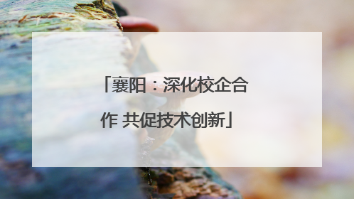 襄阳：深化校企合作 共促技术创新