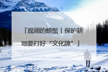 观潮的螃蟹丨保护耕地要打好“文化牌”