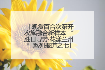 观赏百合次第开 农旅融合新样本 “胜日寻芳·花漾兰州”系列报道之七
