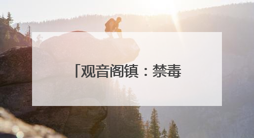 观音阁镇：禁毒宣传面对面 安全防范驻心间