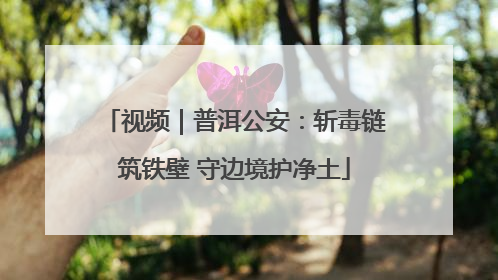 视频｜普洱公安：斩毒链筑铁壁 守边境护净土