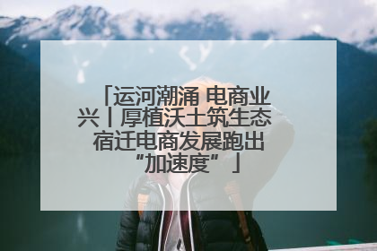 运河潮涌 电商业兴丨厚植沃土筑生态 宿迁电商发展跑出“加速度”