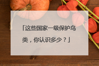 这些国家一级保护鸟类，你认识多少？