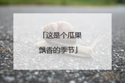 这是个瓜果飘香的季节