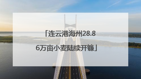 连云港海州28.86万亩小麦陆续开镰