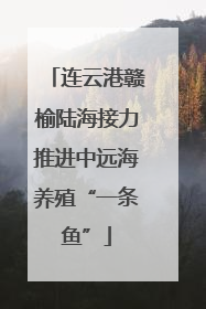 连云港赣榆陆海接力推进中远海养殖“一条鱼”