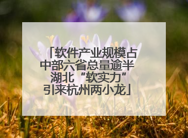 软件产业规模占中部六省总量逾半 湖北“软实力”引来杭州两小龙