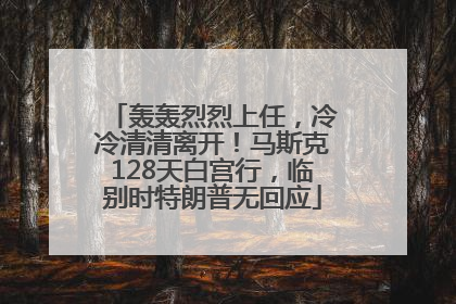 轰轰烈烈上任，冷冷清清离开！马斯克128天白宫行，临别时特朗普无回应