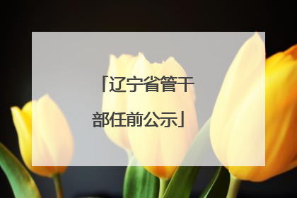 辽宁省管干部任前公示