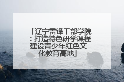 辽宁雷锋干部学院：打造特色研学课程 建设青少年红色文化教育高地