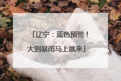 辽宁：蓝色预警！大到暴雨马上就来