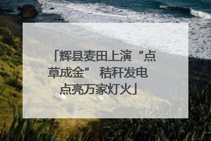 辉县麦田上演“点草成金” 秸秆发电点亮万家灯火