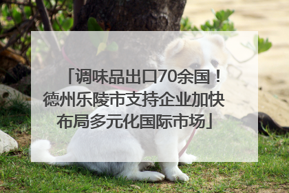 调味品出口70余国！德州乐陵市支持企业加快布局多元化国际市场