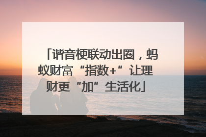 谐音梗联动出圈，蚂蚁财富“指数+”让理财更“加”生活化
