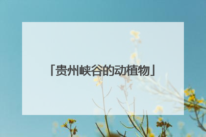 贵州峡谷的动植物