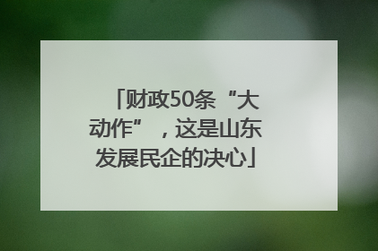 财政50条“大动作”，这是山东发展民企的决心