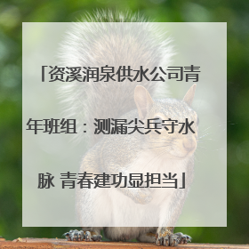 资溪润泉供水公司青年班组：测漏尖兵守水脉 青春建功显担当