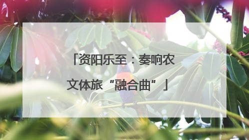 资阳乐至：奏响农文体旅“融合曲”