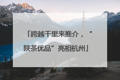 跨越千里来推介，“陕茶优品”亮相杭州