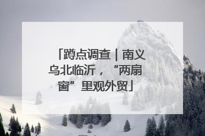 蹲点调查｜南义乌北临沂，“两扇窗”里观外贸
