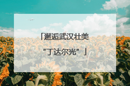 邂逅武汉壮美“丁达尔光”