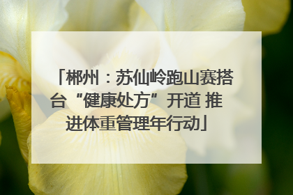 郴州：苏仙岭跑山赛搭台“健康处方”开道 推进体重管理年行动