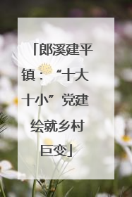 郎溪建平镇：“十大十小”党建 绘就乡村巨变