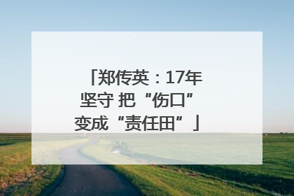郑传英：17年坚守 把“伤口”变成“责任田”