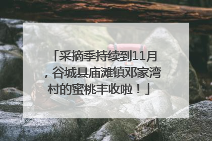 采摘季持续到11月，谷城县庙滩镇邓家湾村的蜜桃丰收啦！