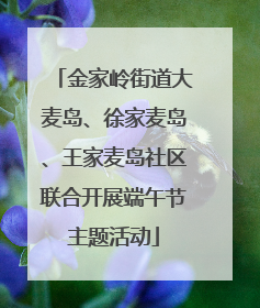 金家岭街道大麦岛、徐家麦岛、王家麦岛社区联合开展端午节主题活动