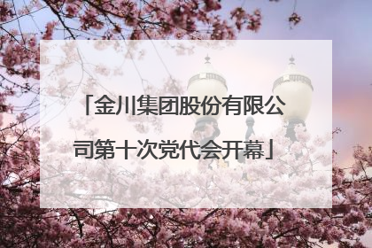 金川集团股份有限公司第十次党代会开幕