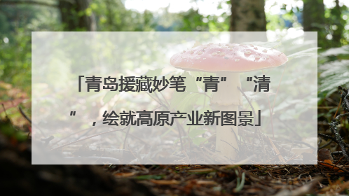 青岛援藏妙笔“青”“清”，绘就高原产业新图景