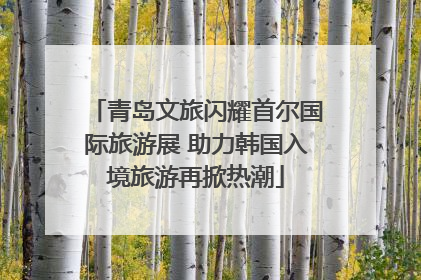 青岛文旅闪耀首尔国际旅游展 助力韩国入境旅游再掀热潮