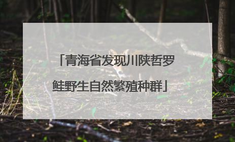 青海省发现川陕哲罗鲑野生自然繁殖种群