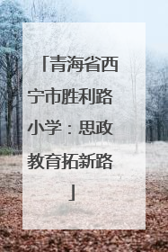 青海省西宁市胜利路小学：思政教育拓新路