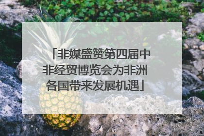 非媒盛赞第四届中非经贸博览会为非洲各国带来发展机遇