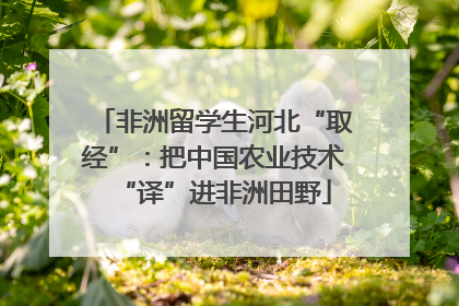 非洲留学生河北“取经”：把中国农业技术“译”进非洲田野