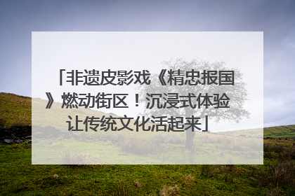 非遗皮影戏《精忠报国》燃动街区！沉浸式体验让传统文化活起来