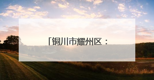 铜川市耀州区：金银花开促振兴 志愿助农暖人心