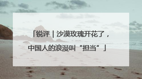 锐评｜沙漠玫瑰开花了，中国人的浪漫叫“担当”