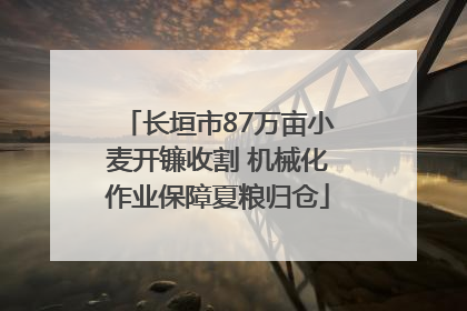 长垣市87万亩小麦开镰收割 机械化作业保障夏粮归仓